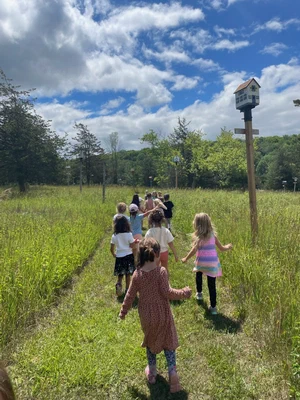 Kids on a nature walk